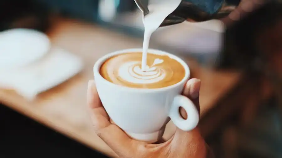 cafe.webp